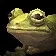 Poison Dart Frog